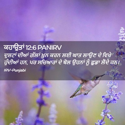 Picture 02 - ਕਹਾਉਤਾਂ 12:6 PANIRV - ਦੁਸ਼ਟਾਂ ਦੀਆਂ - Bible Verse Picture