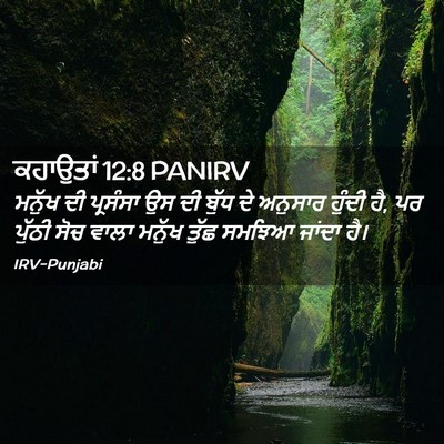 Picture 02 - ਕਹਾਉਤਾਂ 12:8 PANIRV - ਮਨੁੱਖ ਦੀ ਪ੍ਰਸੰਸਾ - Bible Verse Picture