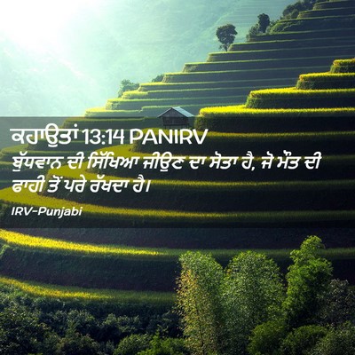 Picture 02 - ਕਹਾਉਤਾਂ 13:14 PANIRV - ਬੁੱਧਵਾਨ ਦੀ ਸਿੱਖਿਆ - Bible Verse Picture
