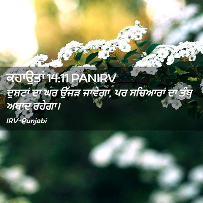 Picture 02 - ਕਹਾਉਤਾਂ 14:11 PANIRV - ਦੁਸ਼ਟਾਂ ਦਾ ਘਰ ਉੱਜੜ - Bible Verse Picture