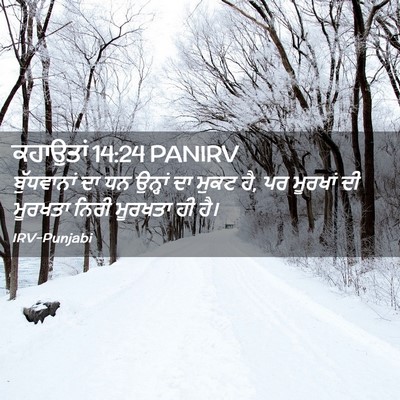 Picture 02 - ਕਹਾਉਤਾਂ 14:24 PANIRV - ਬੁੱਧਵਾਨਾਂ ਦਾ ਧਨ - Bible Verse Picture