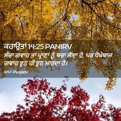 Picture 02 - ਕਹਾਉਤਾਂ 14:25 PANIRV - ਸੱਚਾ ਗਵਾਹ ਤਾਂ - Bible Verse Picture