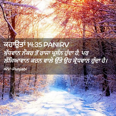 Picture 02 - ਕਹਾਉਤਾਂ 14:35 PANIRV - ਬੁੱਧਵਾਨ ਨੌਕਰ ਤੋਂ - Bible Verse Picture
