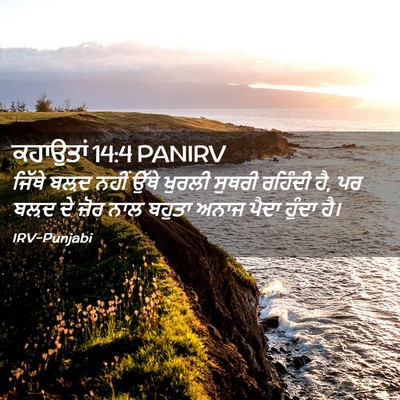 Picture 02 - ਕਹਾਉਤਾਂ 14:4 PANIRV - ਜਿੱਥੇ ਬਲ਼ਦ ਨਹੀਂ - Bible Verse Picture