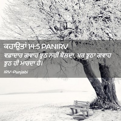 Picture 02 - ਕਹਾਉਤਾਂ 14:5 PANIRV - ਵਫ਼ਾਦਾਰ ਗਵਾਹ ਝੂਠ - Bible Verse Picture