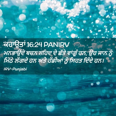 Picture 02 - ਕਹਾਉਤਾਂ 16:24 PANIRV - ਮਨਭਾਉਂਦੇ ਬਚਨ - Bible Verse Picture
