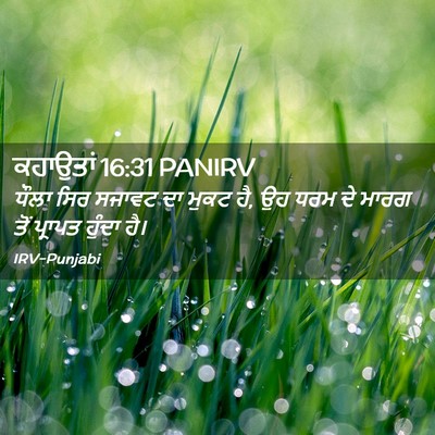 Picture 02 - ਕਹਾਉਤਾਂ 16:31 PANIRV - ਧੌਲਾ ਸਿਰ ਸਜਾਵਟ ਦਾ - Bible Verse Picture