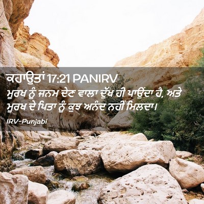 Picture 02 - ਕਹਾਉਤਾਂ 17:21 PANIRV - ਮੂਰਖ ਨੂੰ ਜਨਮ ਦੇਣ - Bible Verse Picture