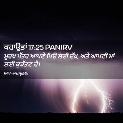 Picture 02 - ਕਹਾਉਤਾਂ 17:25 PANIRV - ਮੂਰਖ ਪੁੱਤਰ ਆਪਣੇ - Bible Verse Picture