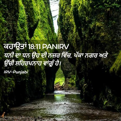 Picture 02 - ਕਹਾਉਤਾਂ 18:11 PANIRV - ਧਨੀ ਦਾ ਧਨ ਉਹ ਦੀ - Bible Verse Picture
