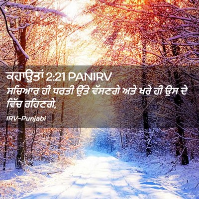 Picture 02 - ਕਹਾਉਤਾਂ 2:21 PANIRV - ਸਚਿਆਰ ਹੀ ਧਰਤੀ ਉੱਤੇ - Bible Verse Picture