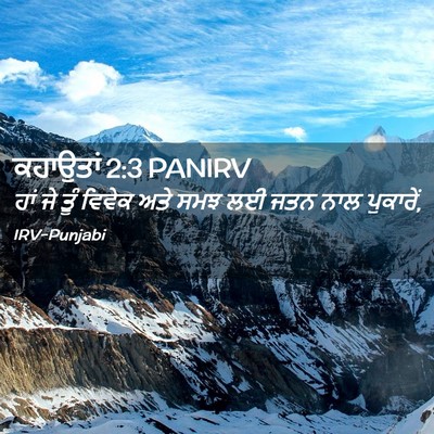Picture 02 - ਕਹਾਉਤਾਂ 2:3 PANIRV - ਹਾਂ ਜੇ ਤੂੰ ਵਿਵੇਕ - Bible Verse Picture