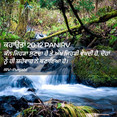 Picture 02 - ਕਹਾਉਤਾਂ 20:12 PANIRV - ਕੰਨ ਜਿਹੜਾ ਸੁਣਦਾ ਹੈ - Bible Verse Picture
