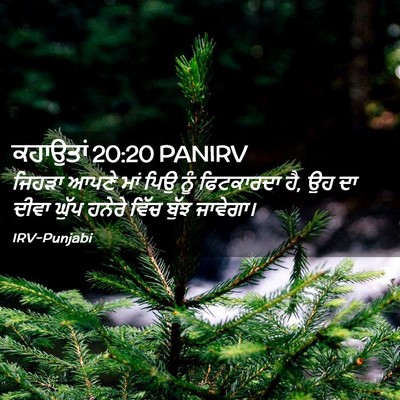 Picture 02 - ਕਹਾਉਤਾਂ 20:20 PANIRV - ਜਿਹੜਾ ਆਪਣੇ ਮਾਂ ਪਿਉ - Bible Verse Picture