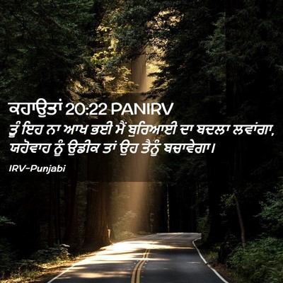 Picture 02 - ਕਹਾਉਤਾਂ 20:22 PANIRV - ਤੂੰ ਇਹ ਨਾ ਆਖ ਭਈ ਮੈਂ - Bible Verse Picture