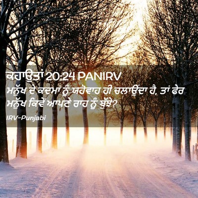 Picture 02 - ਕਹਾਉਤਾਂ 20:24 PANIRV - ਮਨੁੱਖ ਦੇ ਕਦਮਾਂ ਨੂੰ - Bible Verse Picture