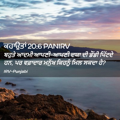 Picture 02 - ਕਹਾਉਤਾਂ 20:6 PANIRV - ਬਹੁਤੇ ਆਦਮੀ - Bible Verse Picture