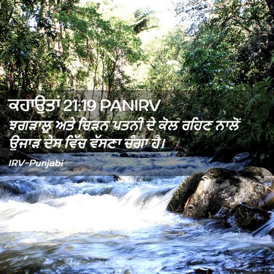 Picture 02 - ਕਹਾਉਤਾਂ 21:19 PANIRV - ਝਗੜਾਲੂ ਅਤੇ ਚਿੜਨ - Bible Verse Picture