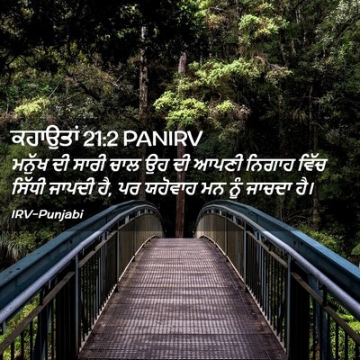 Picture 02 - ਕਹਾਉਤਾਂ 21:2 PANIRV - ਮਨੁੱਖ ਦੀ ਸਾਰੀ ਚਾਲ - Bible Verse Picture