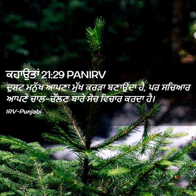 Picture 02 - ਕਹਾਉਤਾਂ 21:29 PANIRV - ਦੁਸ਼ਟ ਮਨੁੱਖ ਆਪਣਾ - Bible Verse Picture
