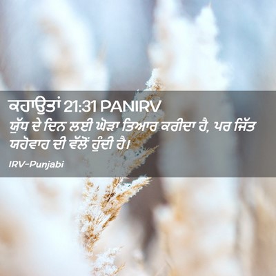 Picture 02 - ਕਹਾਉਤਾਂ 21:31 PANIRV - ਯੁੱਧ ਦੇ ਦਿਨ ਲਈ ਘੋੜਾ - Bible Verse Picture