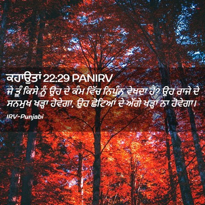 Picture 02 - ਕਹਾਉਤਾਂ 22:29 PANIRV - ਜੇ ਤੂੰ ਕਿਸੇ ਨੂੰ ਉਹ - Bible Verse Picture