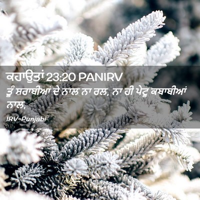 Picture 02 - ਕਹਾਉਤਾਂ 23:20 PANIRV - ਤੂੰ ਸ਼ਰਾਬੀਆਂ ਦੇ - Bible Verse Picture
