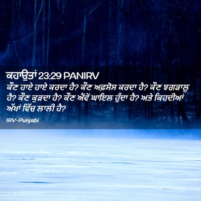 Picture 02 - ਕਹਾਉਤਾਂ 23:29 PANIRV - ਕੌਣ ਹਾਏ ਹਾਏ ਕਰਦਾ - Bible Verse Picture