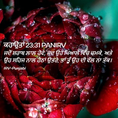 Picture 02 - ਕਹਾਉਤਾਂ 23:31 PANIRV - ਜਦੋਂ ਸ਼ਰਾਬ ਲਾਲ - Bible Verse Picture