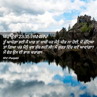 Picture 02 - ਕਹਾਉਤਾਂ 23:35 PANIRV - ਤੂੰ ਆਖੇਂਗਾ ਭਈ ਮੈਂ - Bible Verse Picture