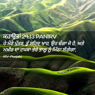 Picture 02 - ਕਹਾਉਤਾਂ 24:13 PANIRV - ਹੇ ਮੇਰੇ ਪੁੱਤਰ, ਤੂੰ - Bible Verse Picture