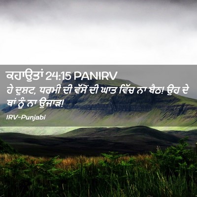 Picture 02 - ਕਹਾਉਤਾਂ 24:15 PANIRV - ਹੇ ਦੁਸ਼ਟ, ਧਰਮੀ ਦੀ - Bible Verse Picture