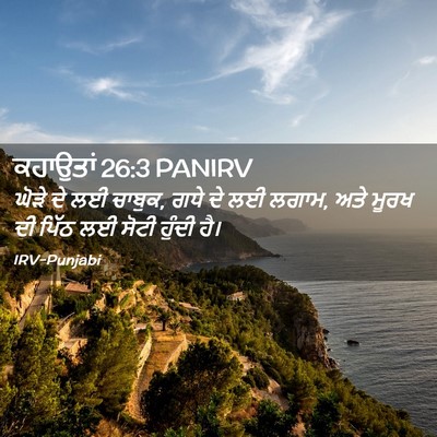 Picture 02 - ਕਹਾਉਤਾਂ 26:3 PANIRV - ਘੋੜੇ ਦੇ ਲਈ ਚਾਬੁਕ, - Bible Verse Picture
