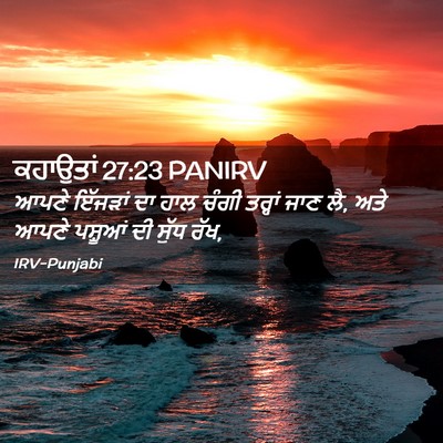 Picture 02 - ਕਹਾਉਤਾਂ 27:23 PANIRV - ਆਪਣੇ ਇੱਜੜਾਂ ਦਾ ਹਾਲ - Bible Verse Picture