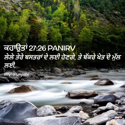 Picture 02 - ਕਹਾਉਤਾਂ 27:26 PANIRV - ਲੇਲੇ ਤੇਰੇ ਬਸਤਰਾਂ - Bible Verse Picture