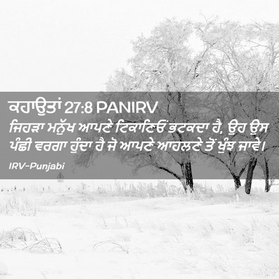 Picture 02 - ਕਹਾਉਤਾਂ 27:8 PANIRV - ਜਿਹੜਾ ਮਨੁੱਖ ਆਪਣੇ - Bible Verse Picture