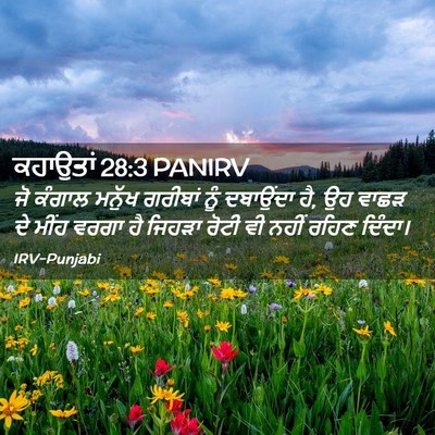 Picture 02 - ਕਹਾਉਤਾਂ 28:3 PANIRV - ਜੋ ਕੰਗਾਲ ਮਨੁੱਖ - Bible Verse Picture