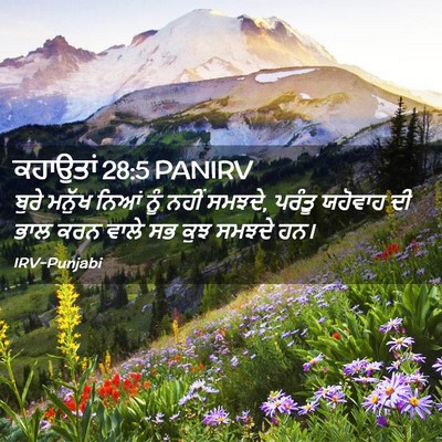 Picture 02 - ਕਹਾਉਤਾਂ 28:5 PANIRV - ਬੁਰੇ ਮਨੁੱਖ ਨਿਆਂ - Bible Verse Picture
