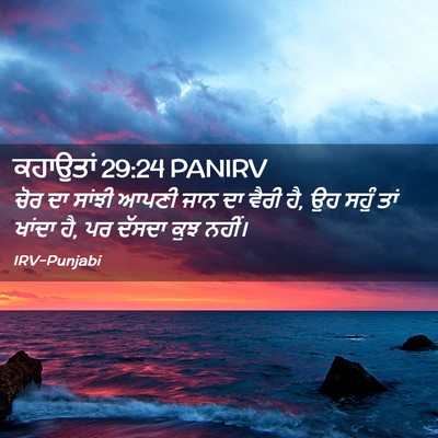 Picture 02 - ਕਹਾਉਤਾਂ 29:24 PANIRV - ਚੋਰ ਦਾ ਸਾਂਝੀ ਆਪਣੀ - Bible Verse Picture