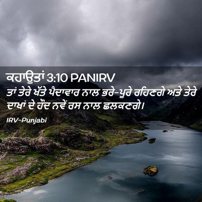 Picture 02 - ਕਹਾਉਤਾਂ 3:10 PANIRV - ਤਾਂ ਤੇਰੇ ਖੱਤੇ - Bible Verse Picture