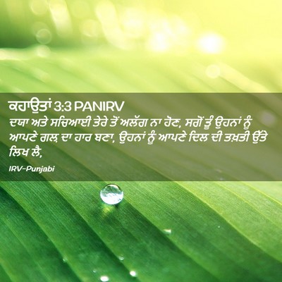 Picture 02 - ਕਹਾਉਤਾਂ 3:3 PANIRV - ਦਯਾ ਅਤੇ ਸਚਿਆਈ ਤੇਰੇ - Bible Verse Picture