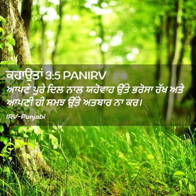 Picture 02 - ਕਹਾਉਤਾਂ 3:5 PANIRV - ਆਪਣੇ ਪੂਰੇ ਦਿਲ ਨਾਲ - Bible Verse Picture