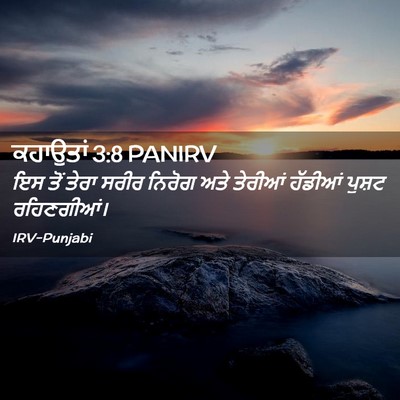 Picture 02 - ਕਹਾਉਤਾਂ 3:8 PANIRV - ਇਸ ਤੋਂ ਤੇਰਾ ਸਰੀਰ - Bible Verse Picture