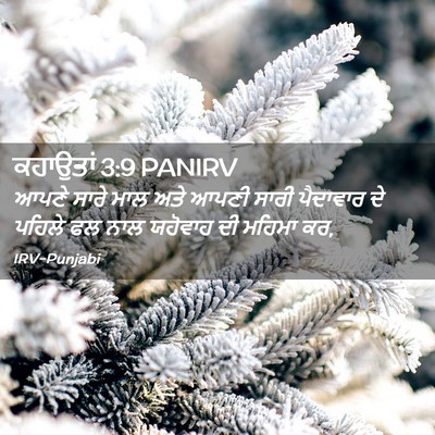 Picture 02 - ਕਹਾਉਤਾਂ 3:9 PANIRV - ਆਪਣੇ ਸਾਰੇ ਮਾਲ ਅਤੇ - Bible Verse Picture