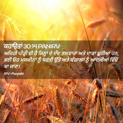 Picture 02 - ਕਹਾਉਤਾਂ 30:14 PANIRV - ਅਜਿਹੀ ਪੀੜ੍ਹੀ ਵੀ ਹੈ - Bible Verse Picture