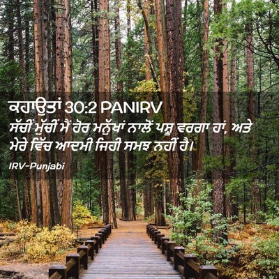 Picture 02 - ਕਹਾਉਤਾਂ 30:2 PANIRV - ਸੱਚੀਂ ਮੁੱਚੀਂ ਮੈਂ - Bible Verse Picture