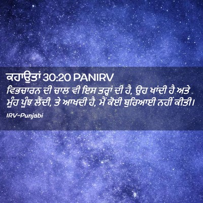 Picture 02 - ਕਹਾਉਤਾਂ 30:20 PANIRV - ਵਿਭਚਾਰਨ ਦੀ ਚਾਲ ਵੀ - Bible Verse Picture