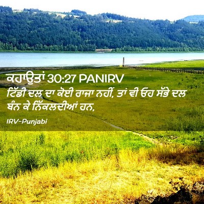 Picture 02 - ਕਹਾਉਤਾਂ 30:27 PANIRV - ਟਿੱਡੀ ਦਲ ਦਾ ਕੋਈ - Bible Verse Picture