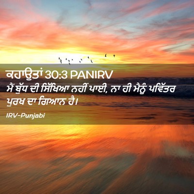 Picture 02 - ਕਹਾਉਤਾਂ 30:3 PANIRV - ਮੈਂ ਬੁੱਧ ਦੀ ਸਿੱਖਿਆ - Bible Verse Picture