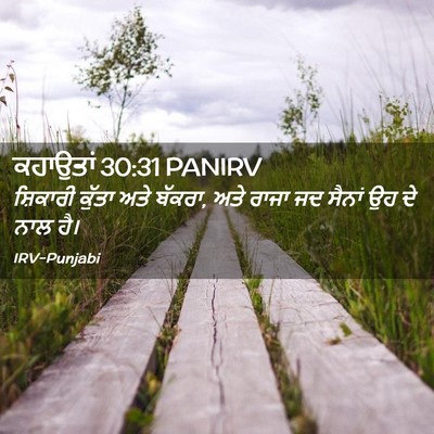 Picture 02 - ਕਹਾਉਤਾਂ 30:31 PANIRV - ਸ਼ਿਕਾਰੀ ਕੁੱਤਾ ਅਤੇ - Bible Verse Picture